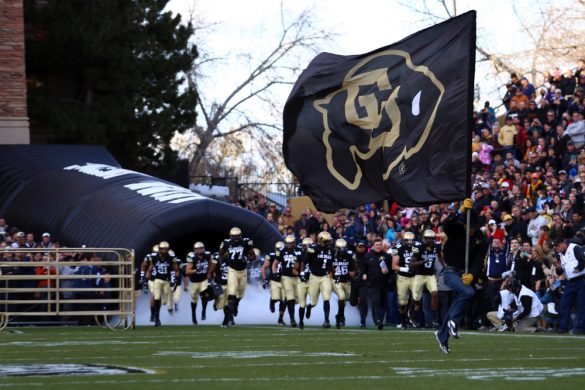 A Ralphie Runner leads the Colorado Buffaloes onto the field before a football game between Colorado and California, Saturday, Nov. 16, 2013, at Folsom Field in Boulder. (Nigel Amstock/CU Independent)