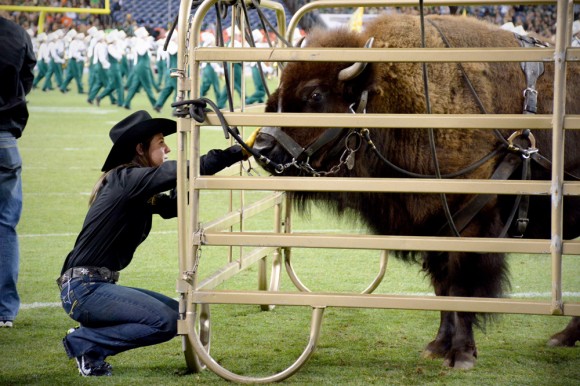 "What do you talk to Ralphie about?" "I tell her about my day, how my classes are going. I think she really likes the sound of my voice, it keeps her calm."