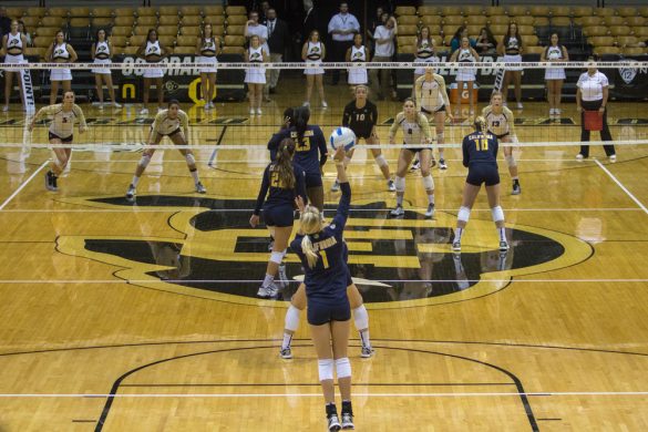 CU spikers beat Cal at home in Boulder