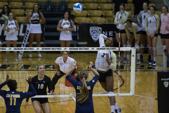 CU spikers beat Cal at home in Boulder