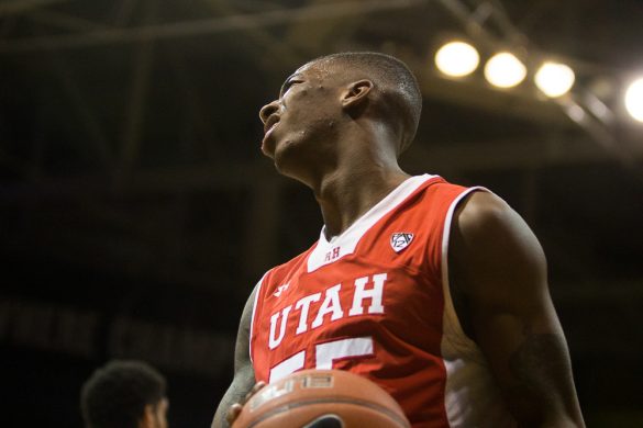 Buffs hunted by Utes