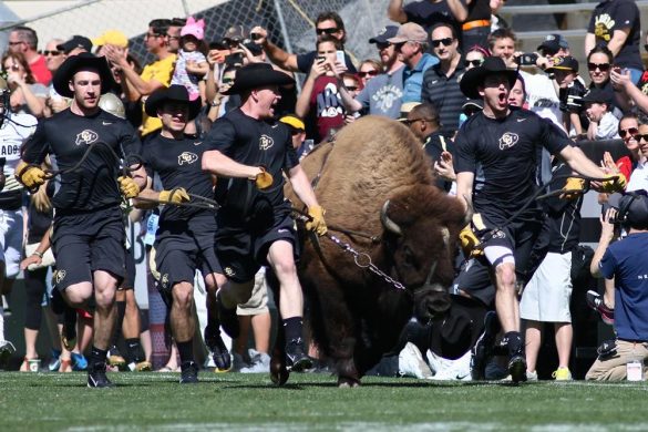Colorado football fans get first taste of team at 2015 spring game