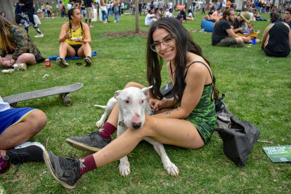 A Mile High Festival attendee with her Bull Terrier.