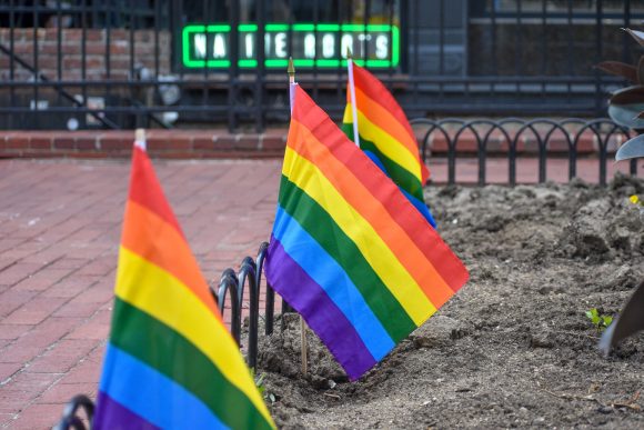 Pride flags placed in a garden on Pearl Street.