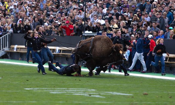 Colorado Buffaloes fall to Wildcats 35-30 on Family Weekend