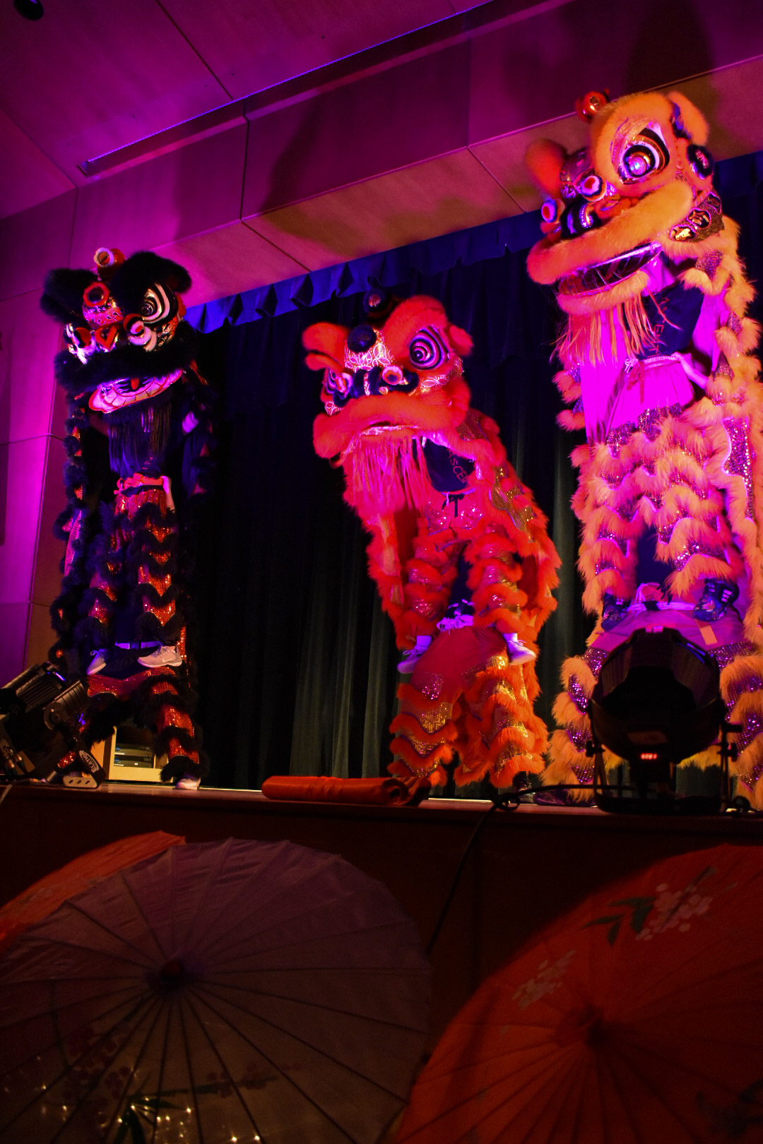 VSA’s Annual Lunar New Year Show celebrates various cultures across Asia