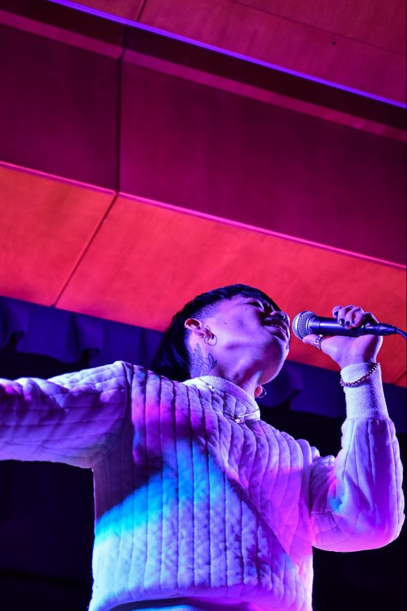 VSA’s Annual Lunar New Year Show celebrates various cultures across Asia