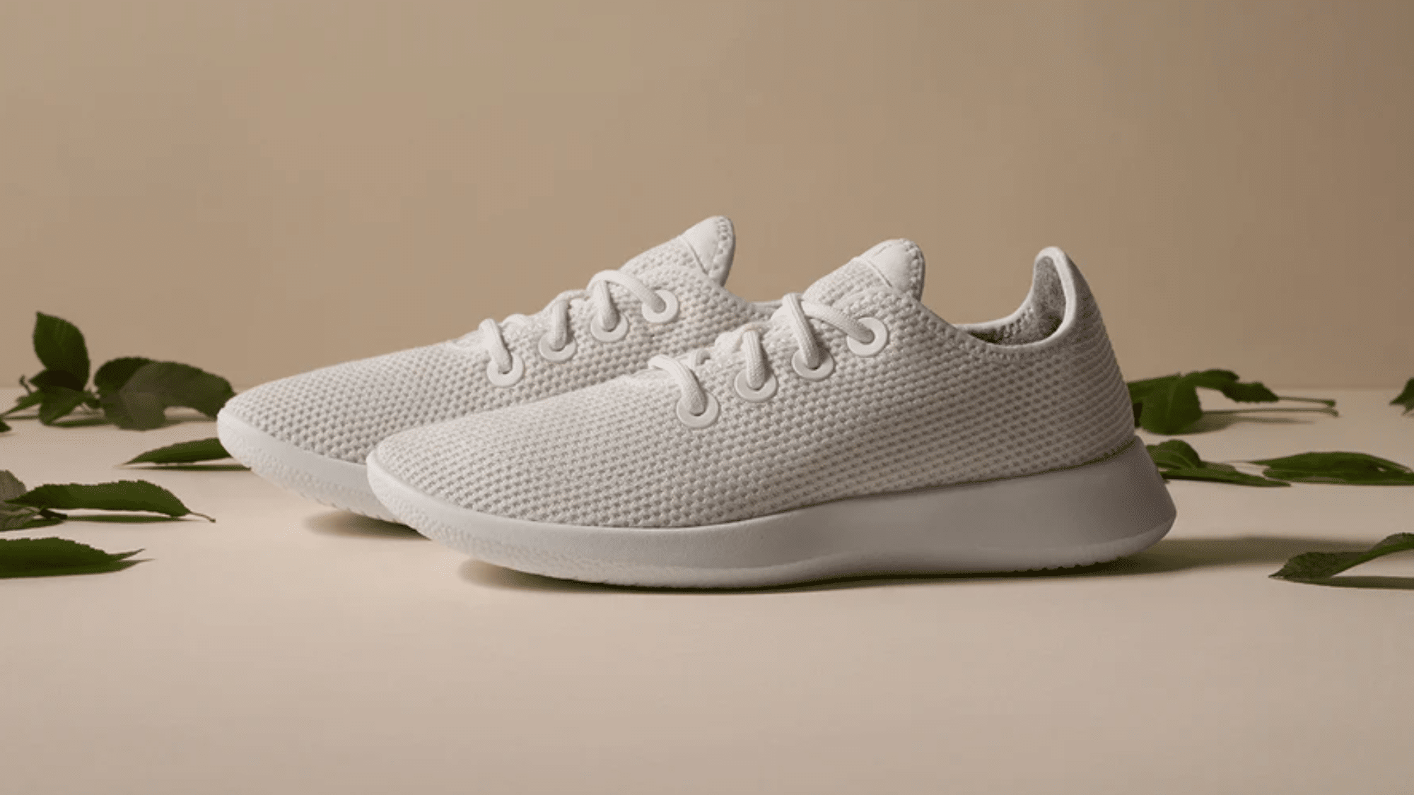 Allbirds Tree Runners