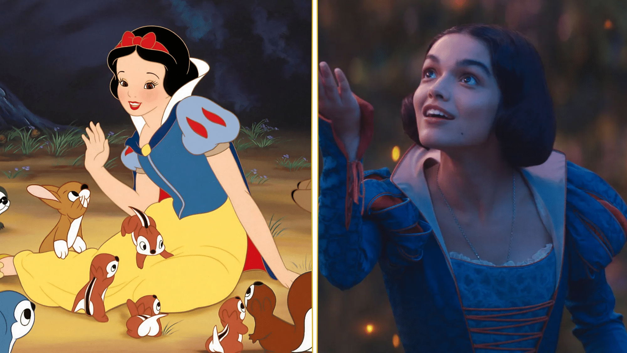 Highlights from Leading Reviews