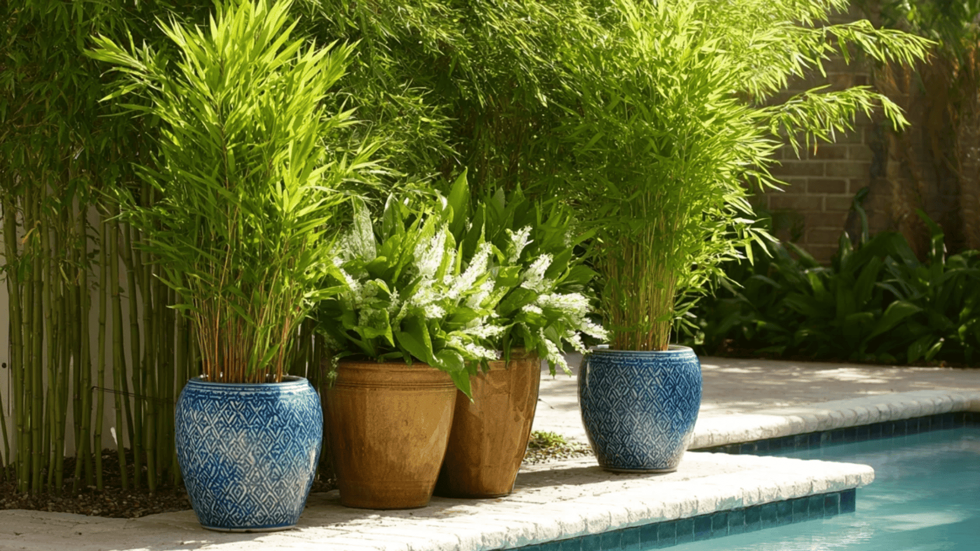 Potted Plant Barrier