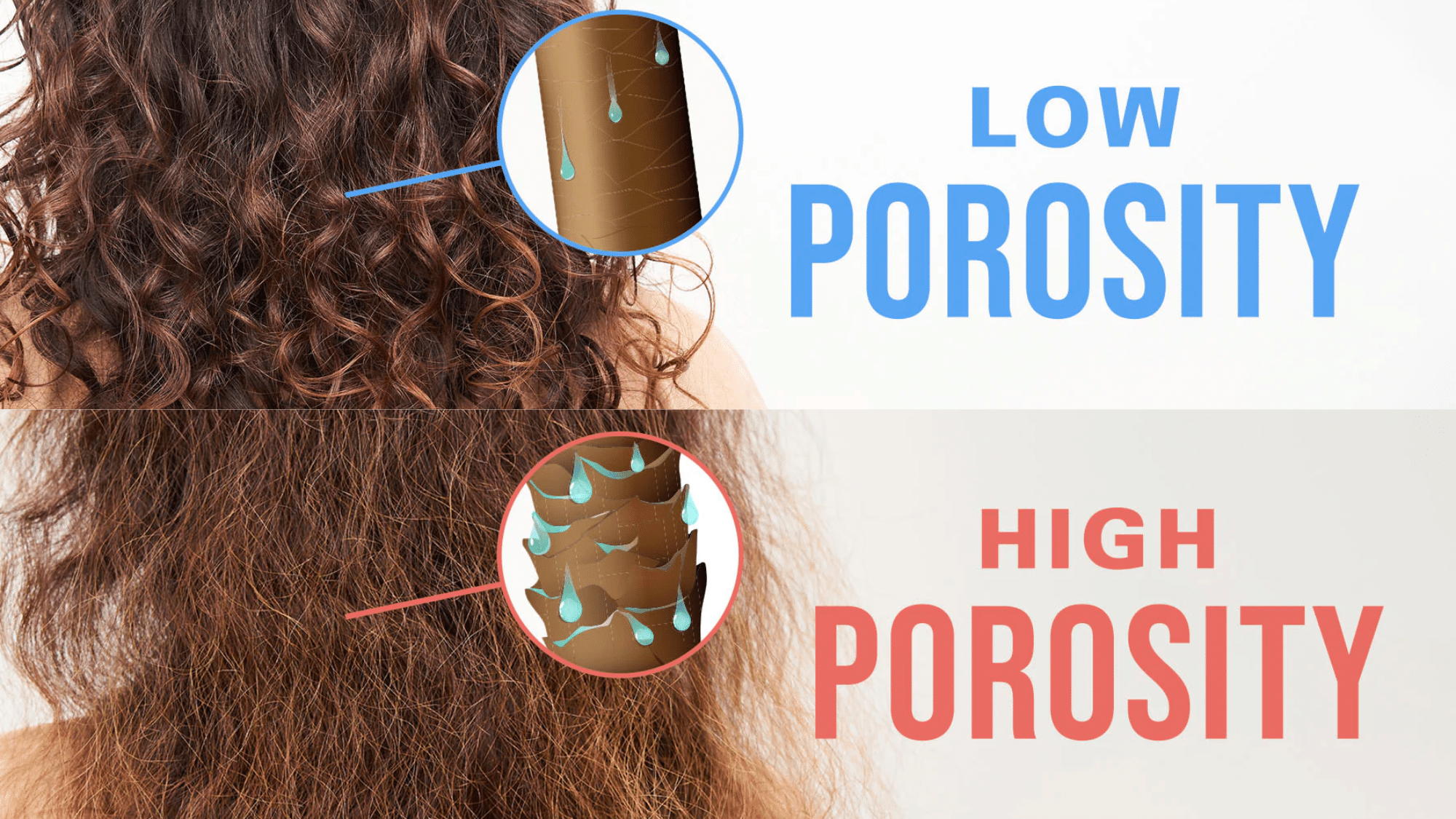 how-to-test-your-hair-porosity
