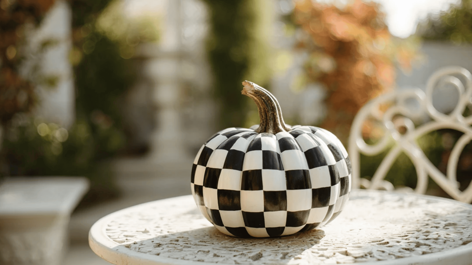 Checkerboard or Harlequin Pumpkin
