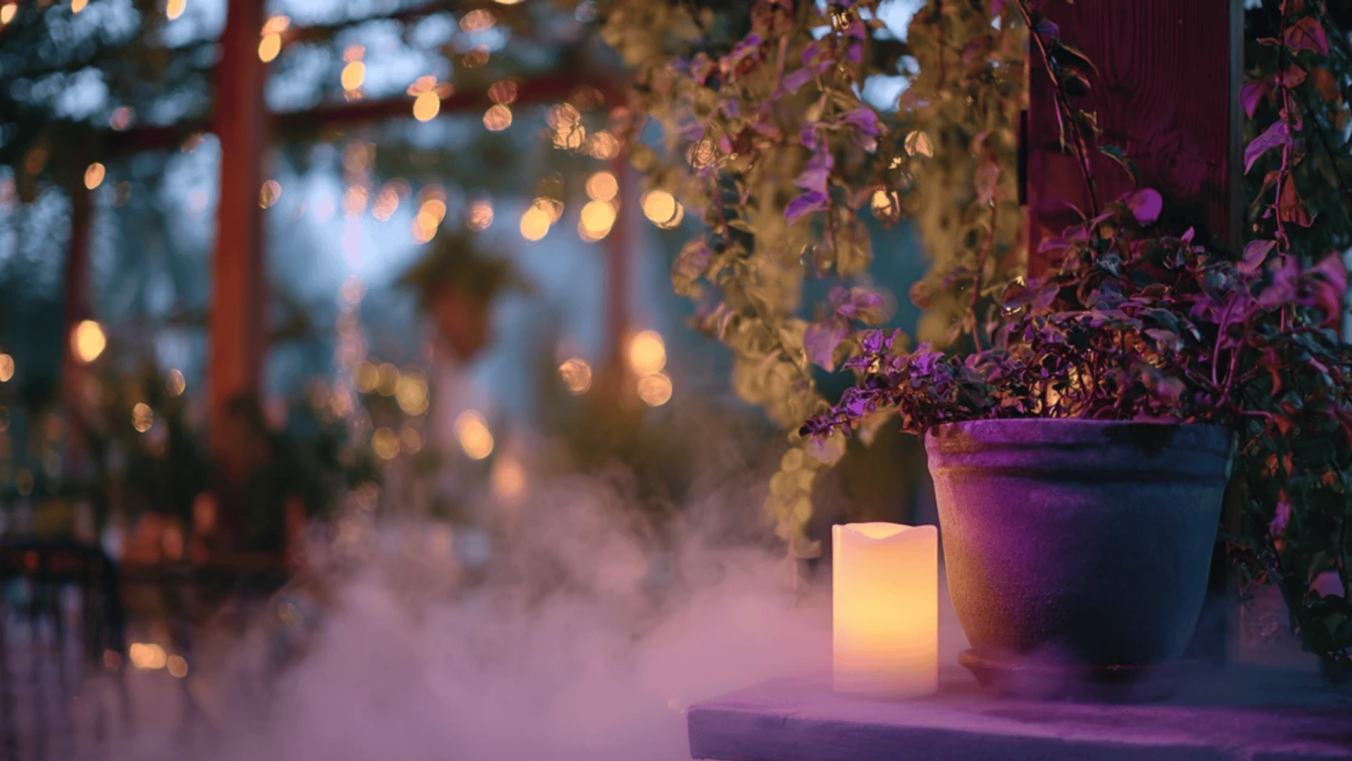 Foggy Midnight Garden