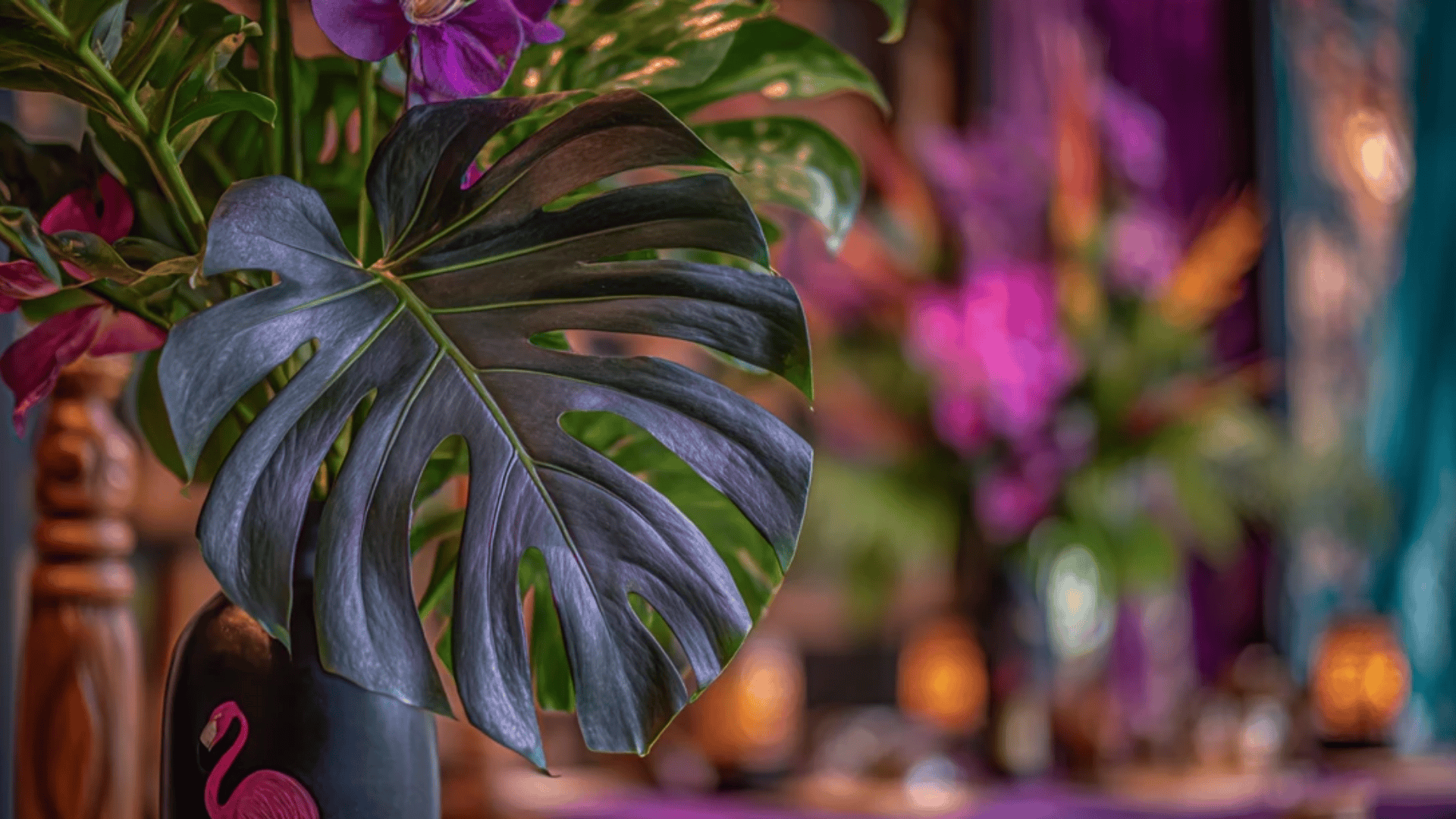 Tropical Dark Paradise