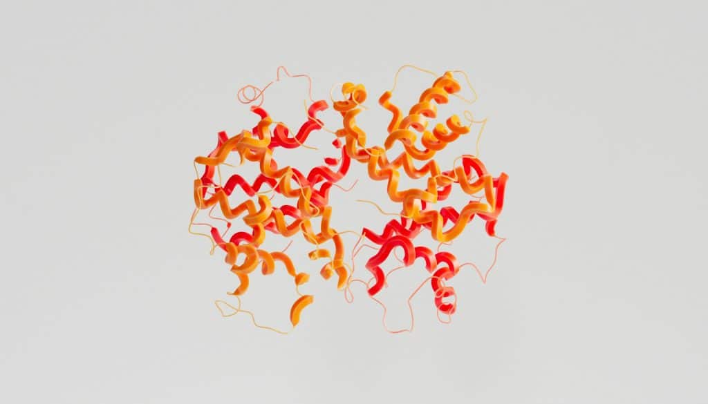 Chonluten: Speculative Insights and Research Horizons