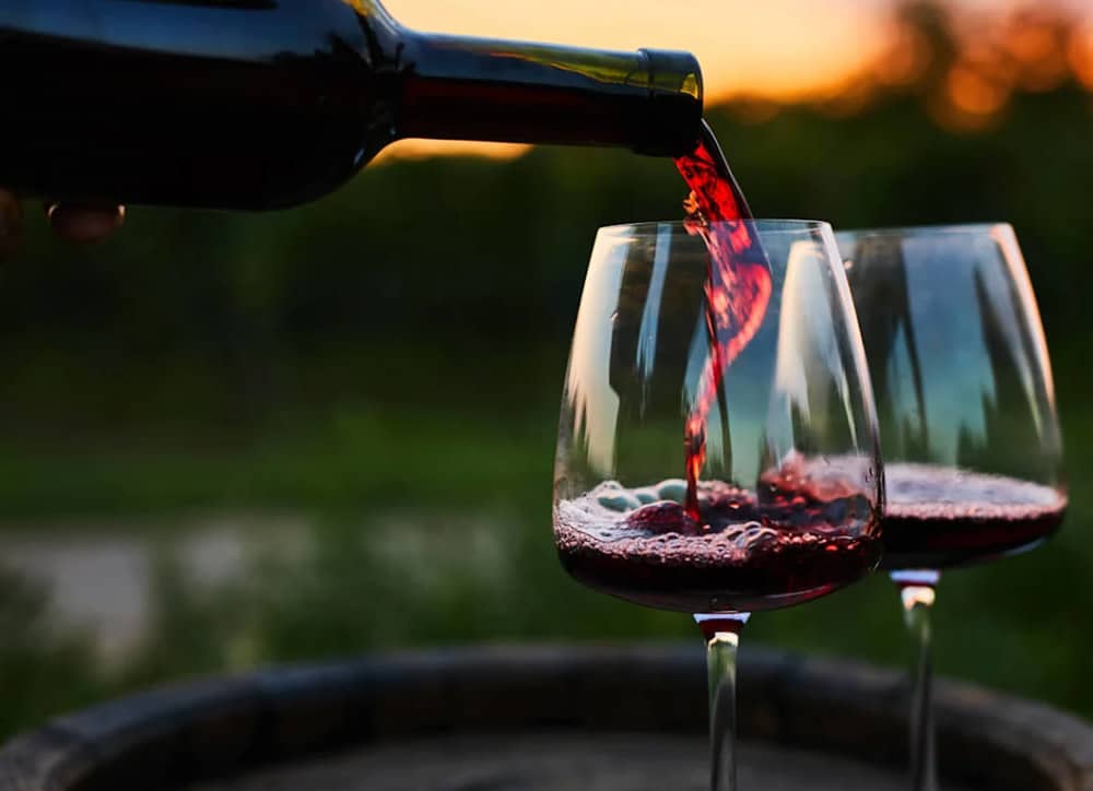 Pinot Noir: A Beginner’s Guide to Flavour and Pairing