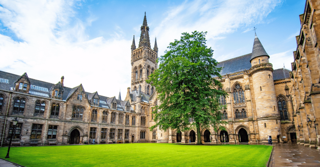 Where to Go to College to Be a Major Celebrity