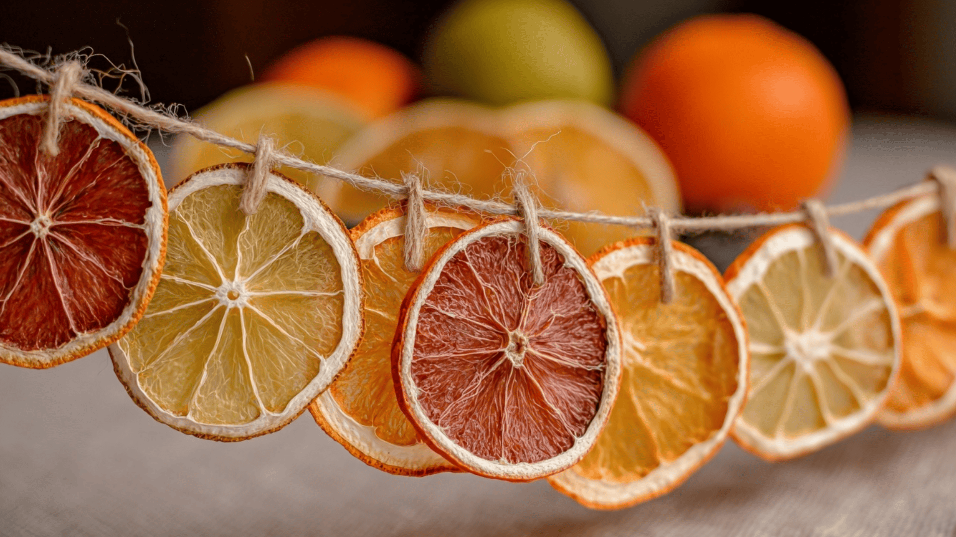Dried Citrus Garlands