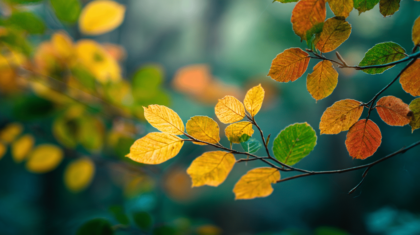 Nature and Wildlife Facts About Fall