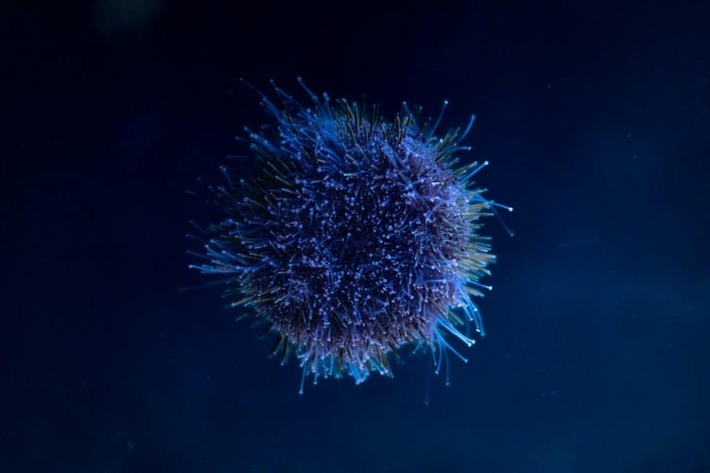 Targeted Therapy and Immunotherapy Open New Horizons in Stage 4 Breast Cancer Care