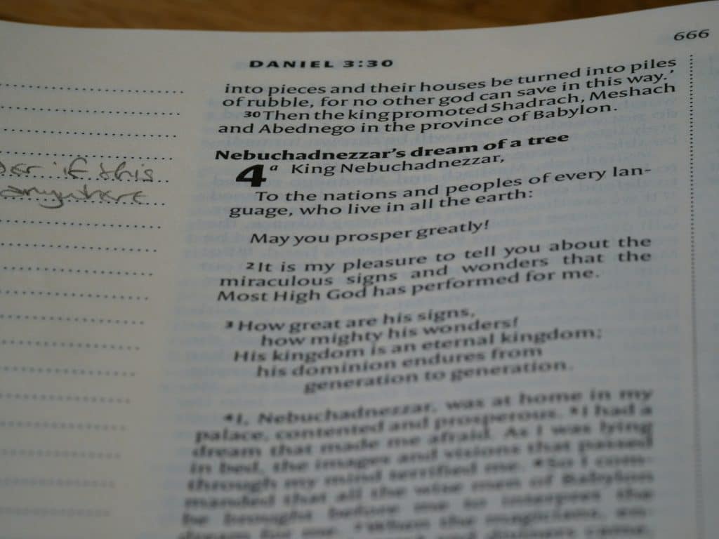 English Language Courses for International Students: Myths and Reality