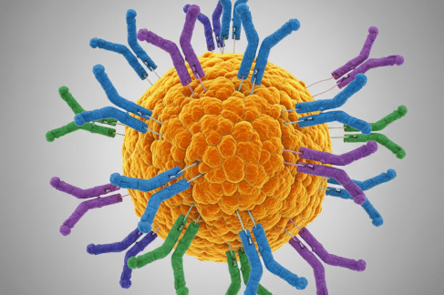 How Polyclonal Antibodies Aid in Pancreatic Cancer Research