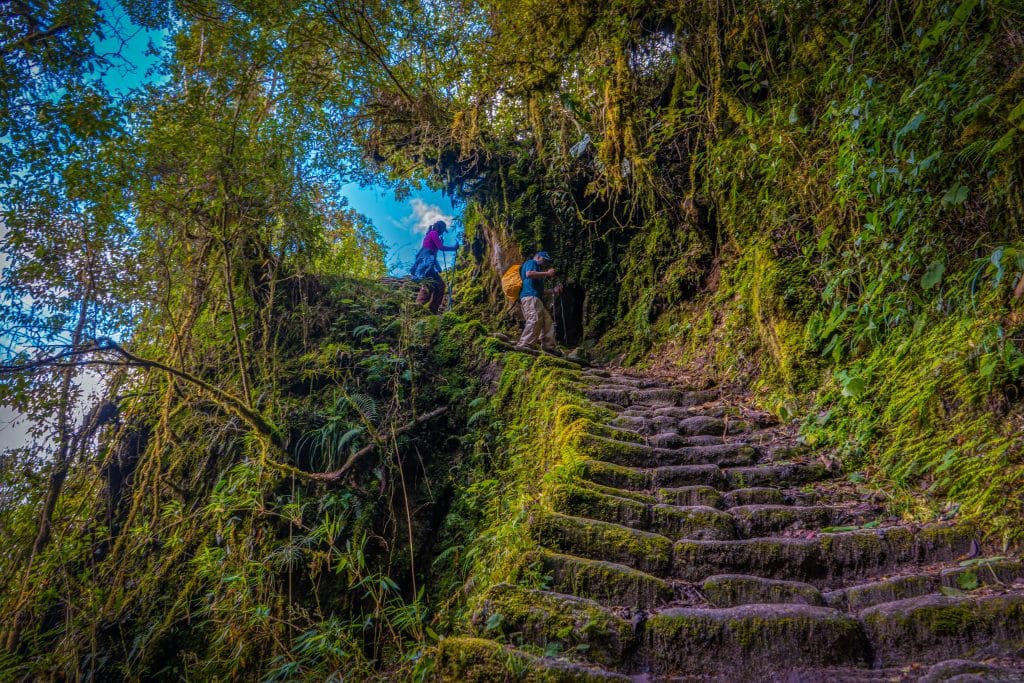 Inca Trail Peru: The Ancestral Path That Connects Altitude, Engineering, and Culture