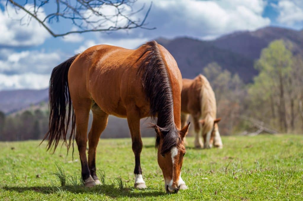 The Rise of Flexible Lifestyles That Welcome Short Trips