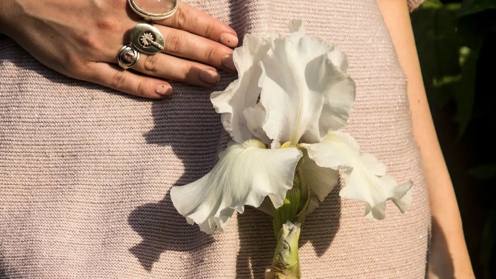 How Does Conception Happen?