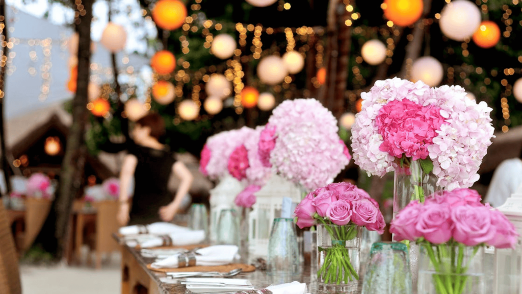 Bold Aesthetics and Color Palettes