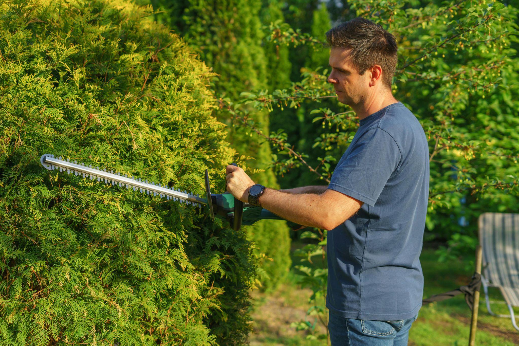 From Lawnmowers To Leaf-blowers: A Guide To Gardening Gadgets