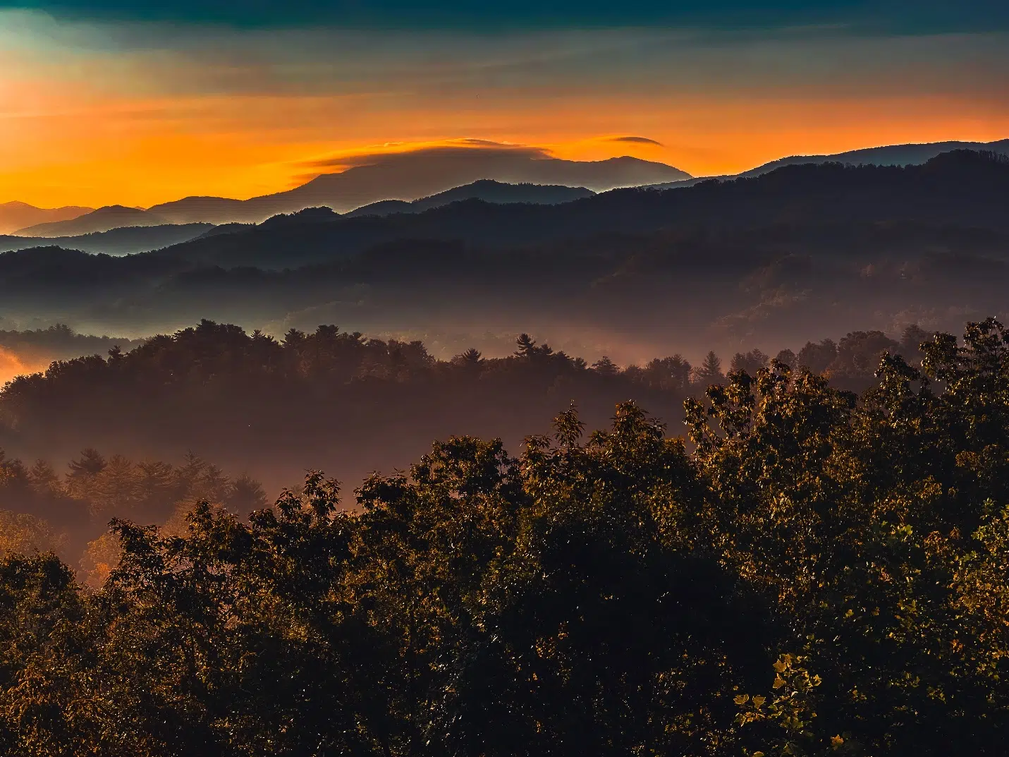 Entertainment That Turns an Ordinary Evening into a Shared Highlight