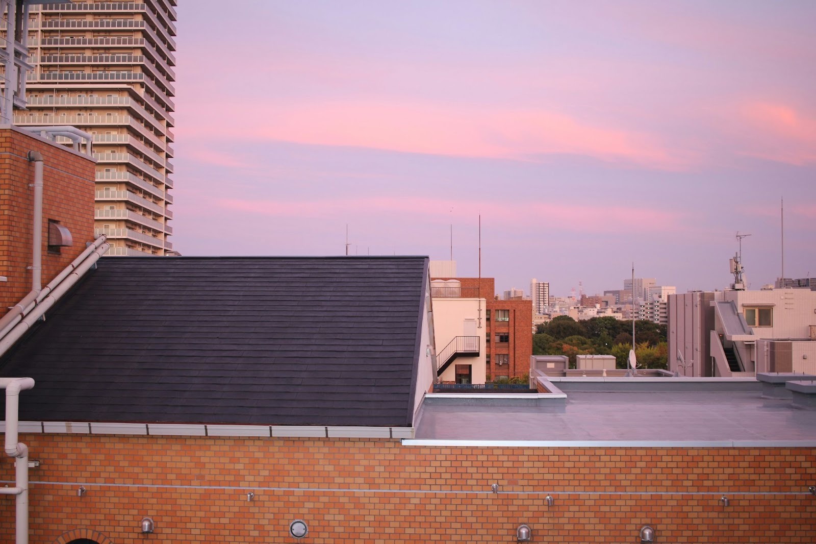 How Much Does Flat Roof Replacement Cost in 2026?