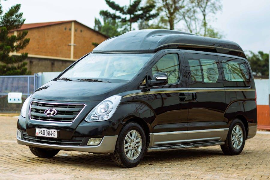 Tampa Bay Adventures: Where to Go & What to Do