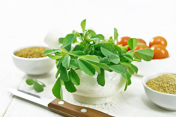 Cooking with Functional Mushroom Powder: Recipes That Work