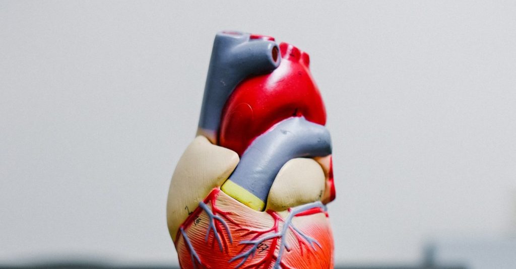 Can High Cholesterol Cause Fatigue?