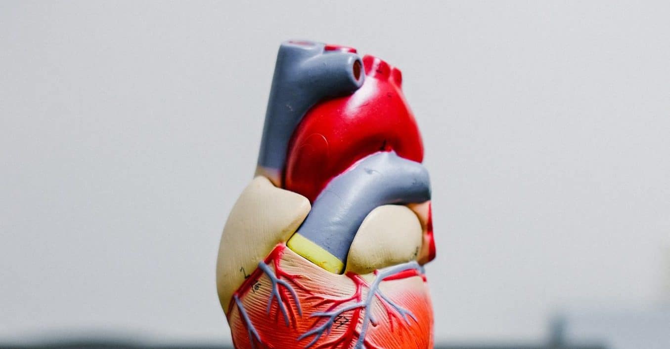 Can High Cholesterol Cause Fatigue?