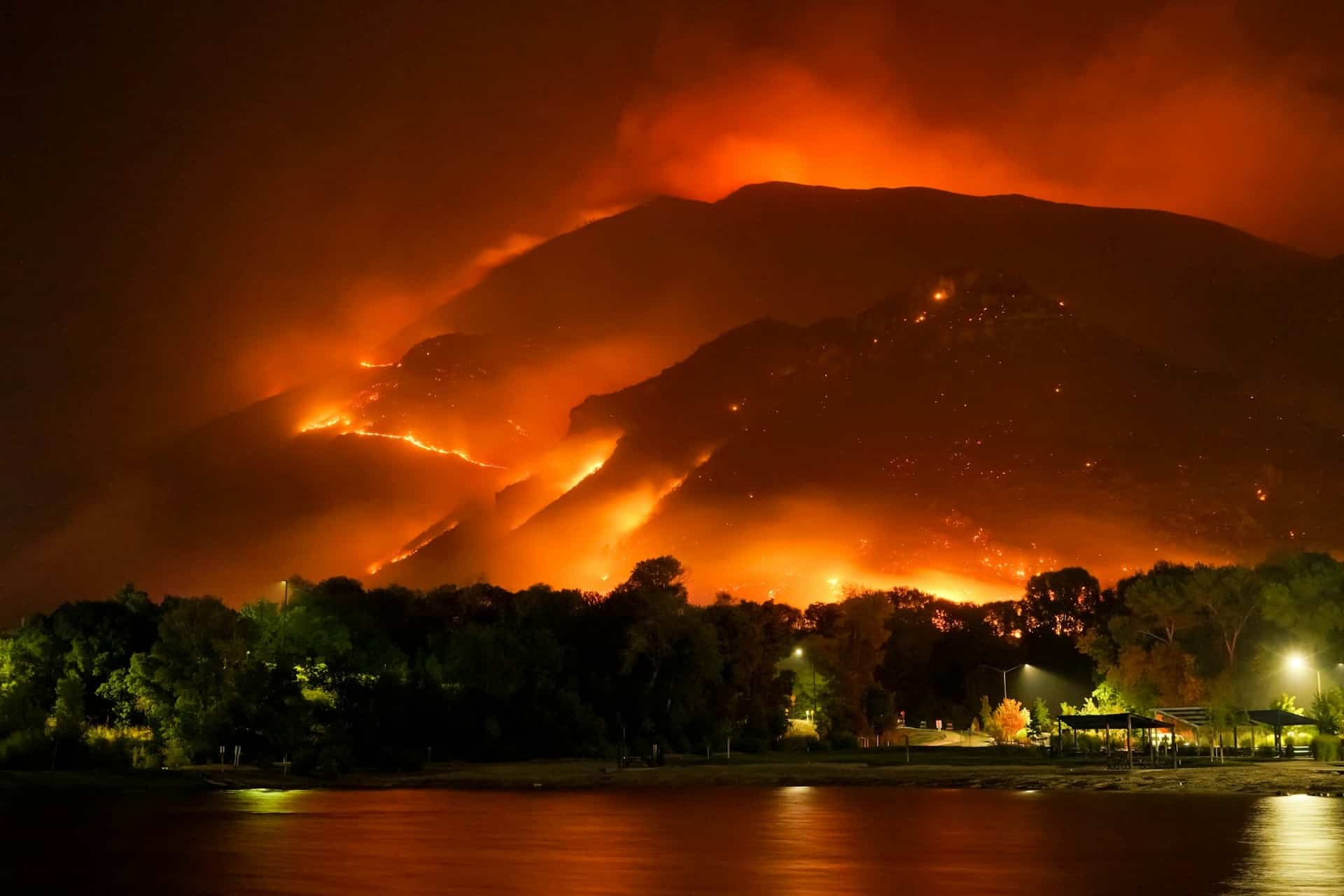 Wildfire Protection: What Homeowners Should Know