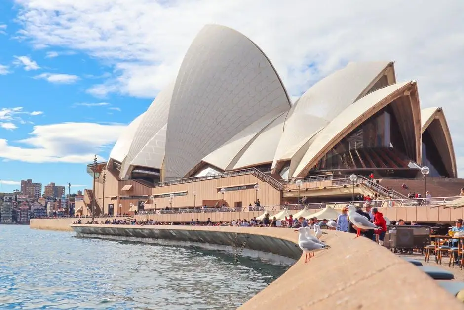 Sydney Opera House overlooking water with seagulls on ledge under clear sky