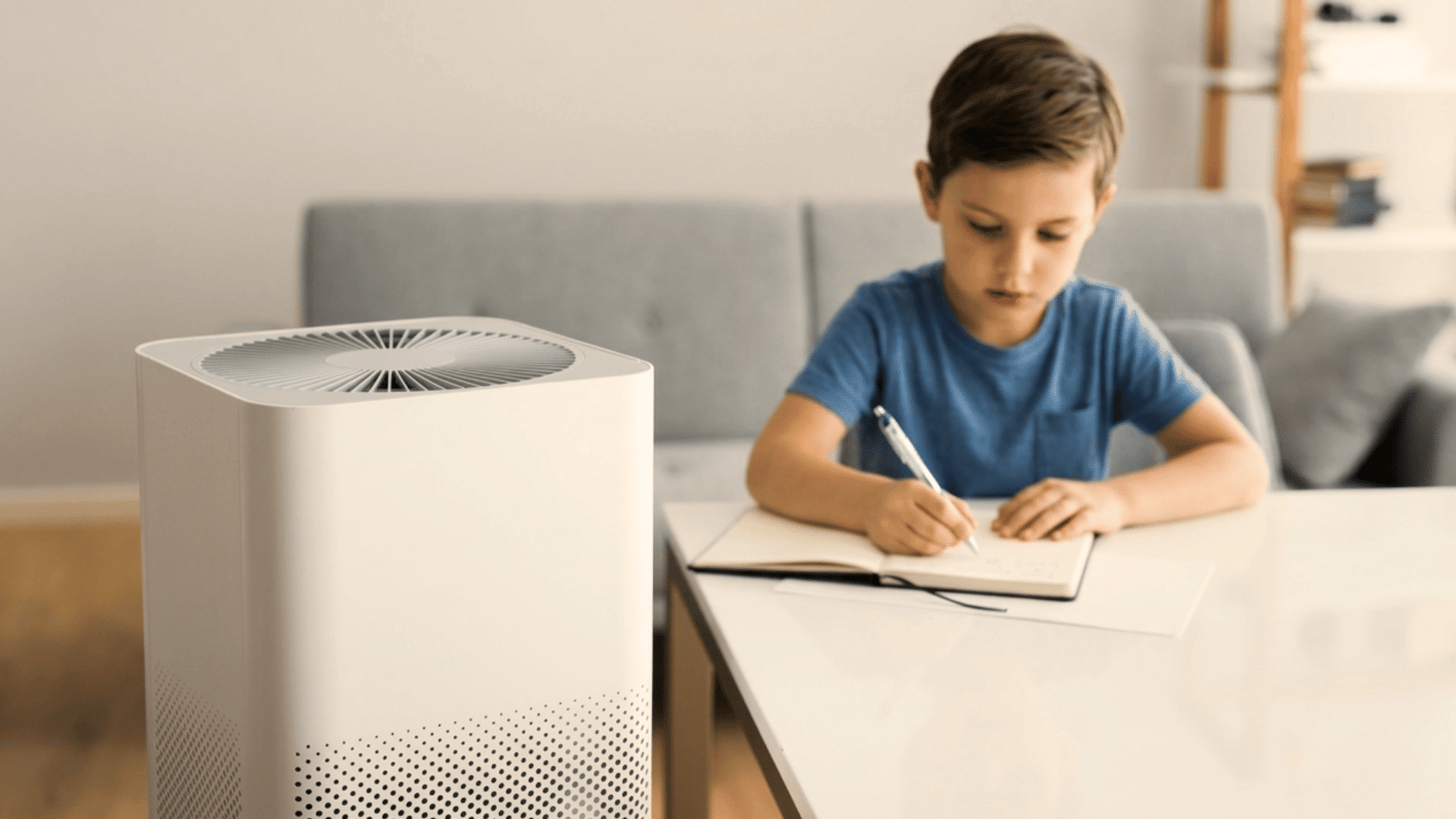 Easy and Effective Ways to Improve Air Quality at Home