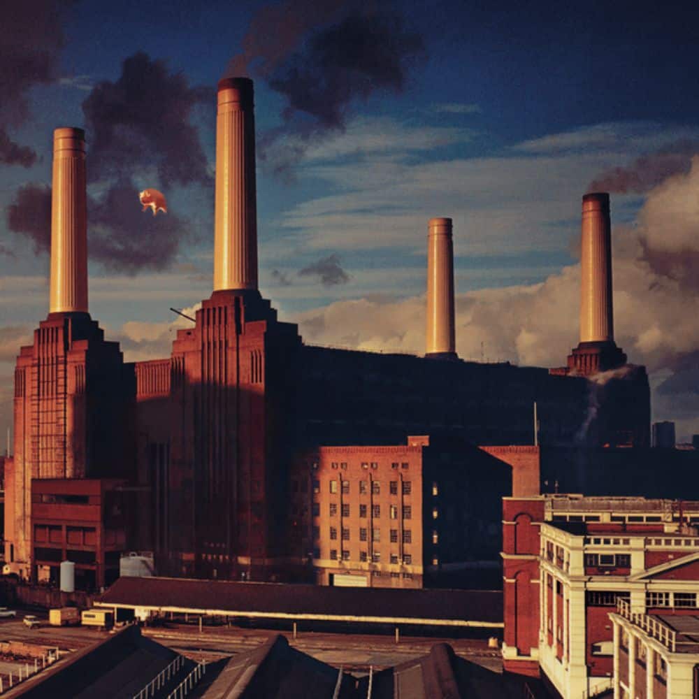 Animals Album Cover (1977)