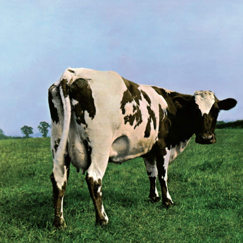 Atom Heart Mother Album Cover (1970)