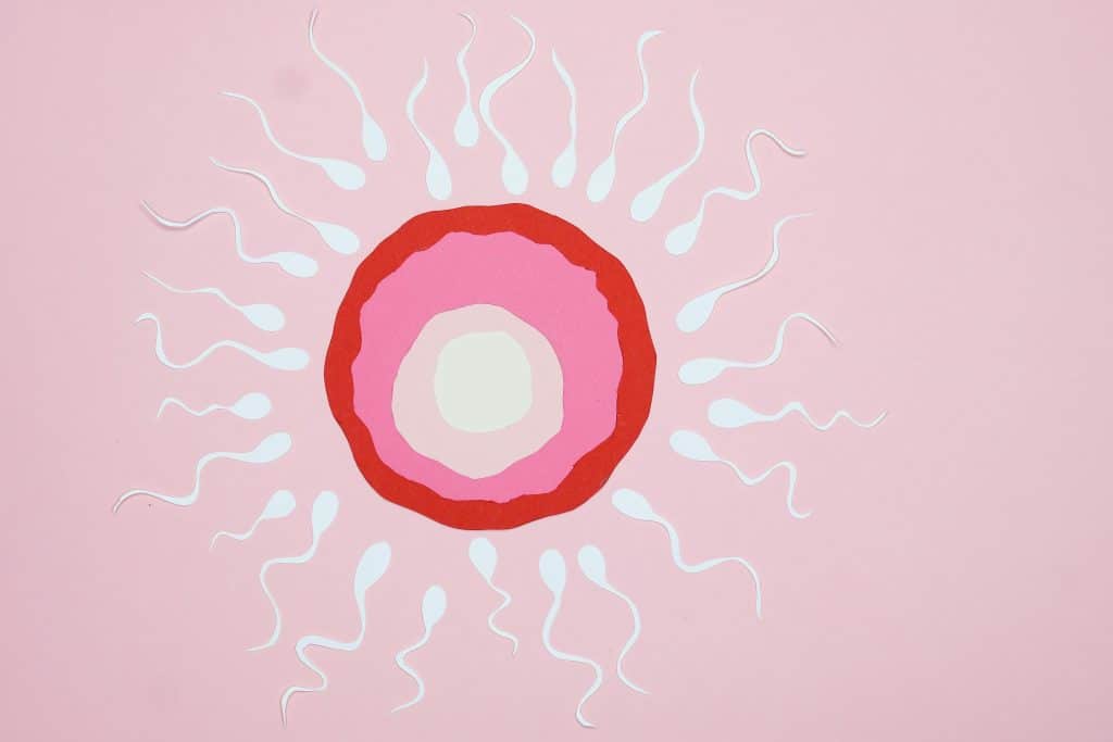 Kisspeptin-10: Multifunctional Peptide Potential in Reproduction, Cognition, and Beyond