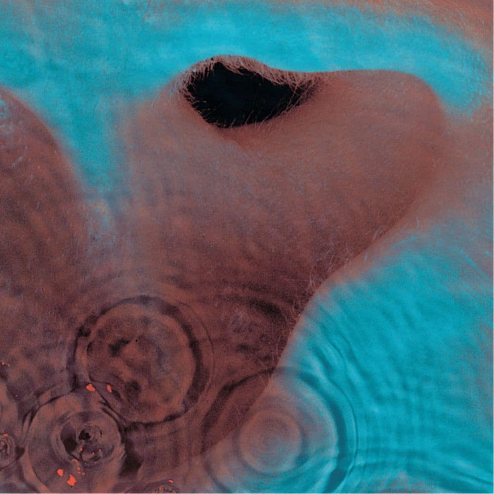 Meddle Album Cover (1971)
