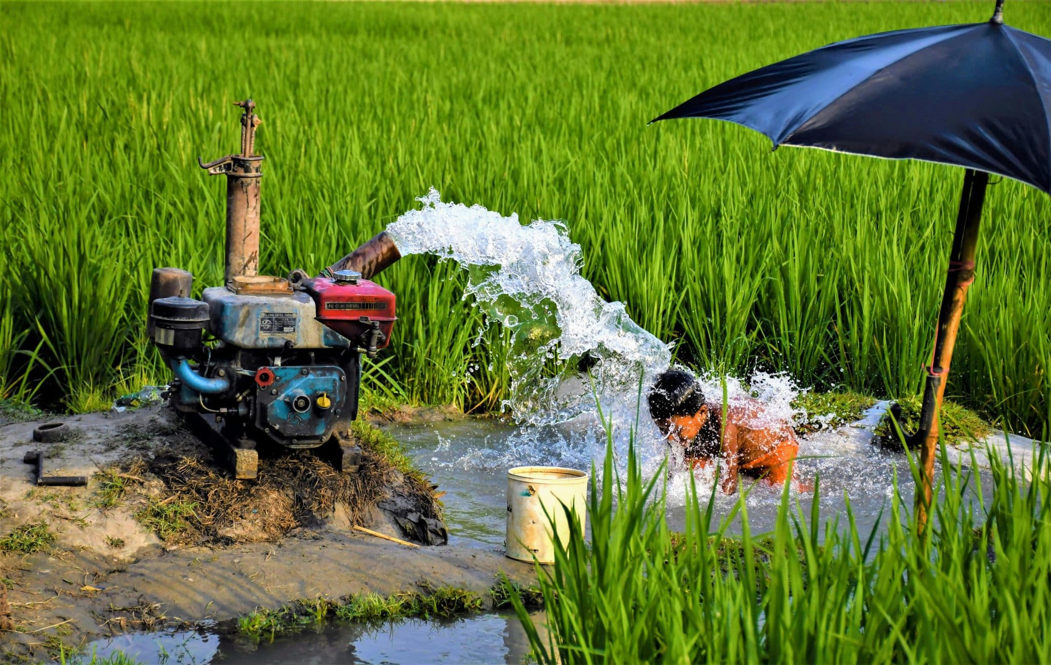 Where to Find Water Pumps for Sale in Australia?