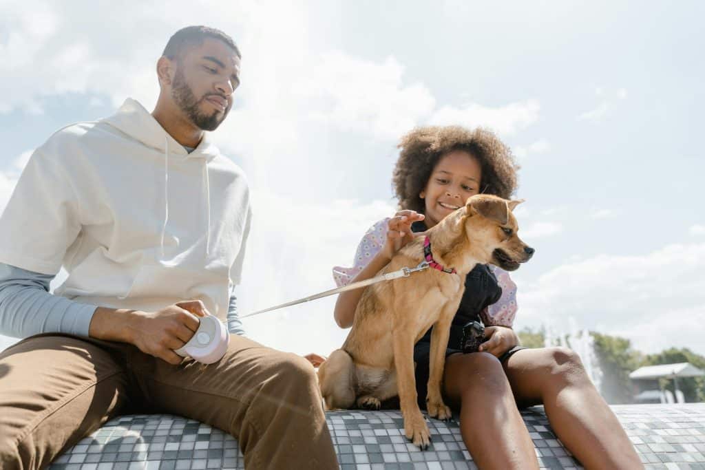 High-Tech Hounds: The Economic Impact of the “Pet Parent” Era in Upper Manhattan