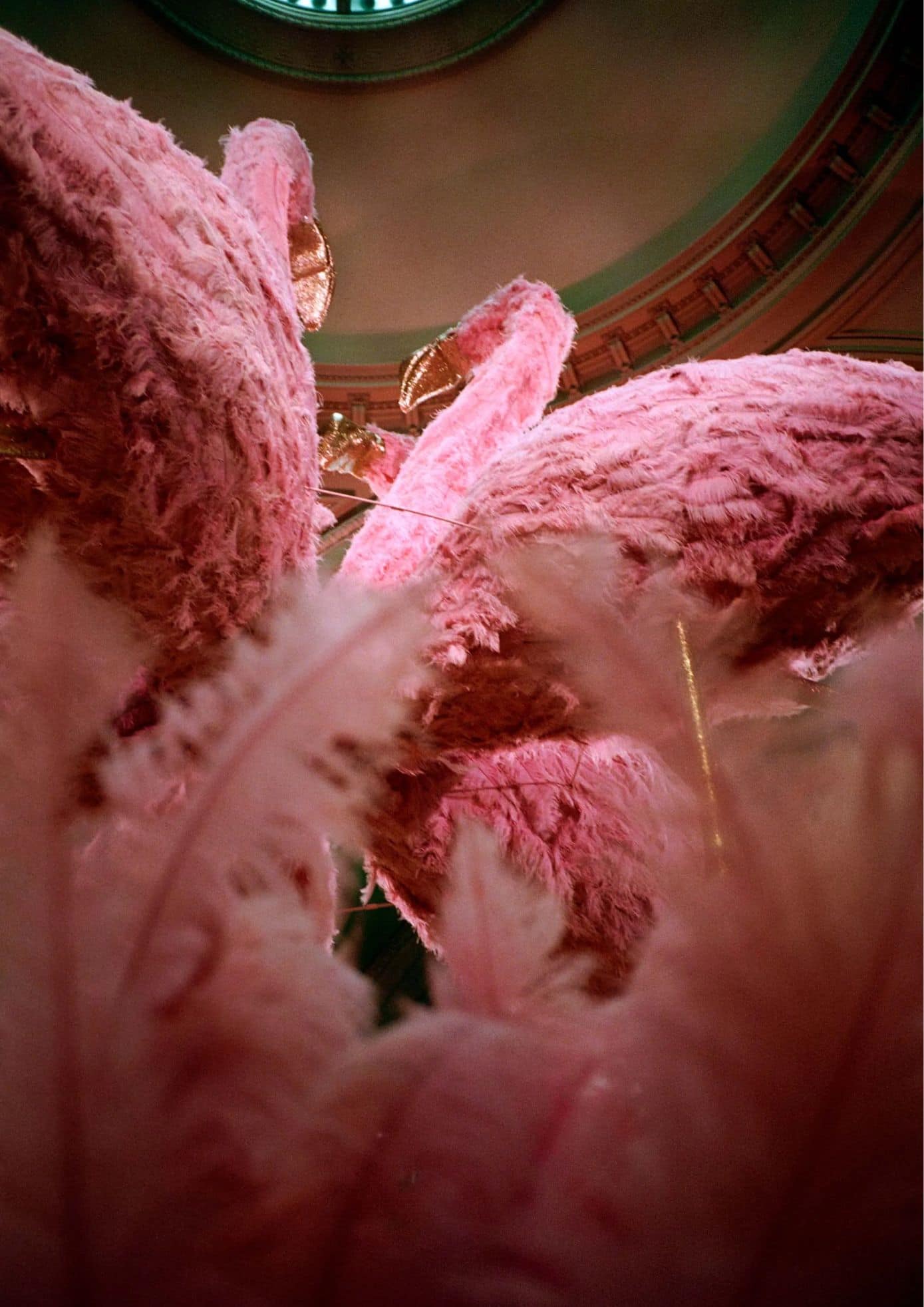 Pink feather installations at the Met Gala 2019, captured from below. (2) (1)