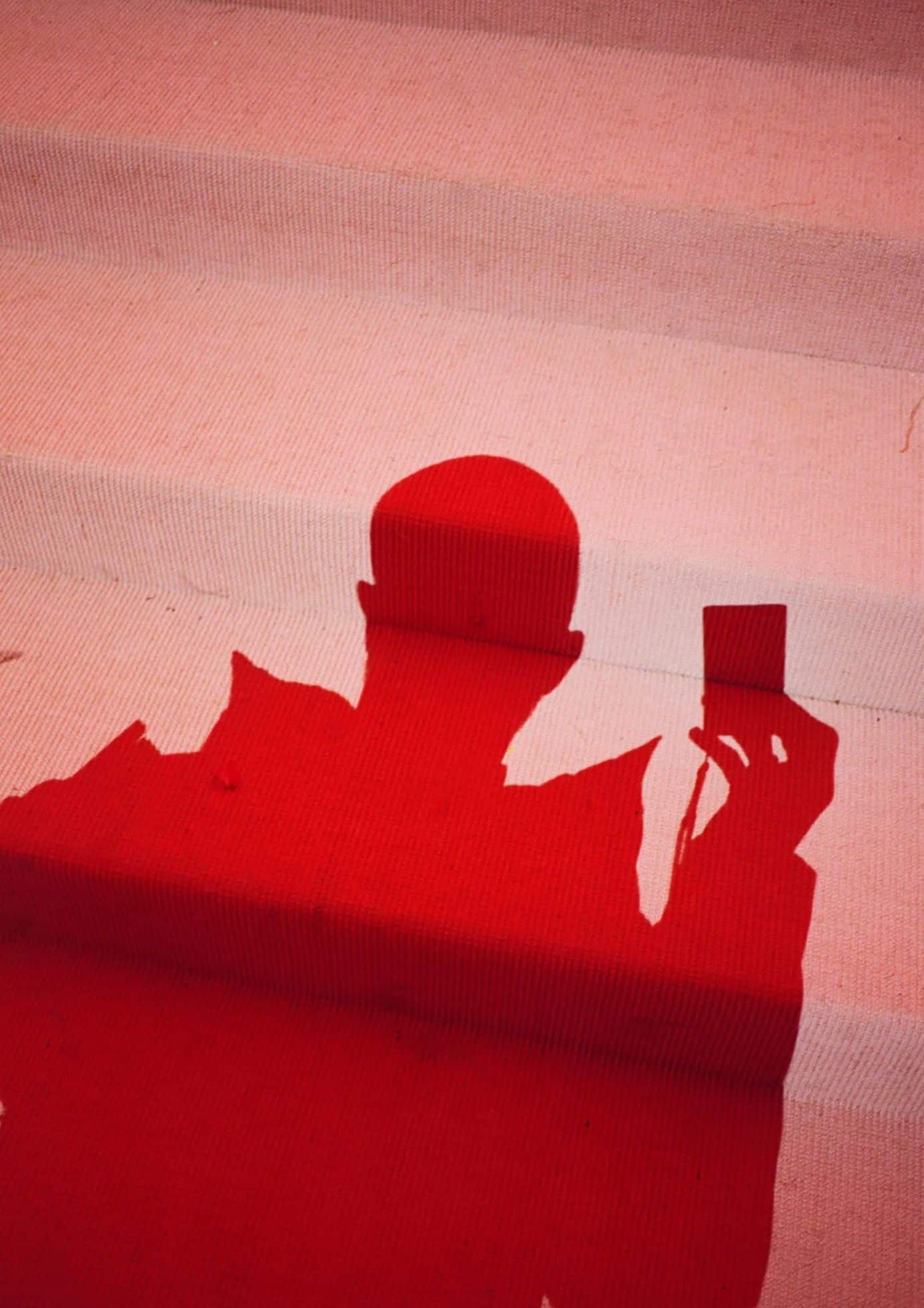 Silhouette on the pink Met Gala steps, holding a camera, with a red carpet reflection.