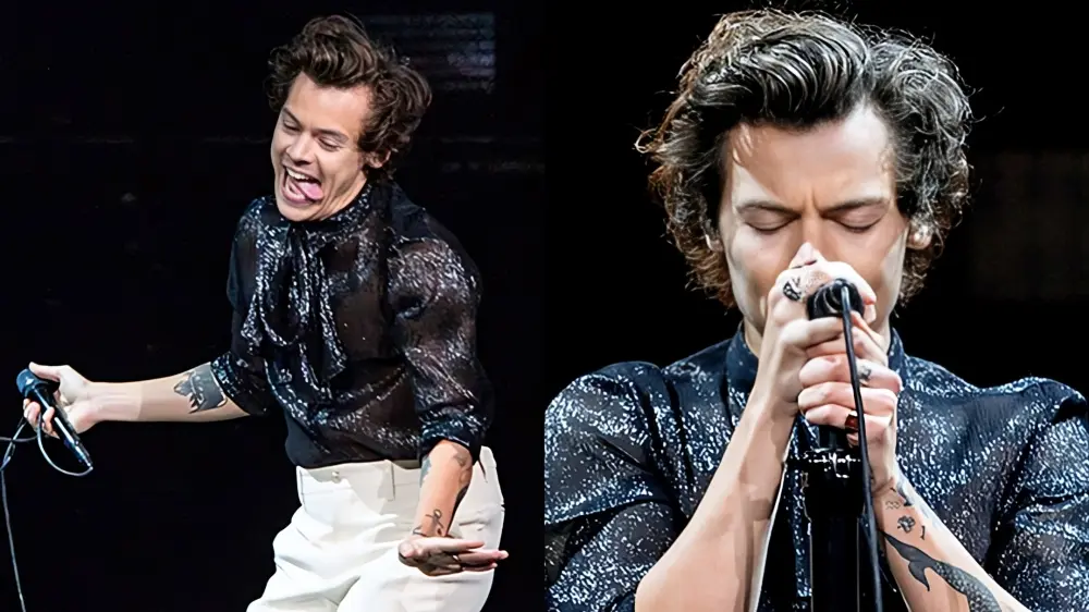 The Sheer Lace Blouse