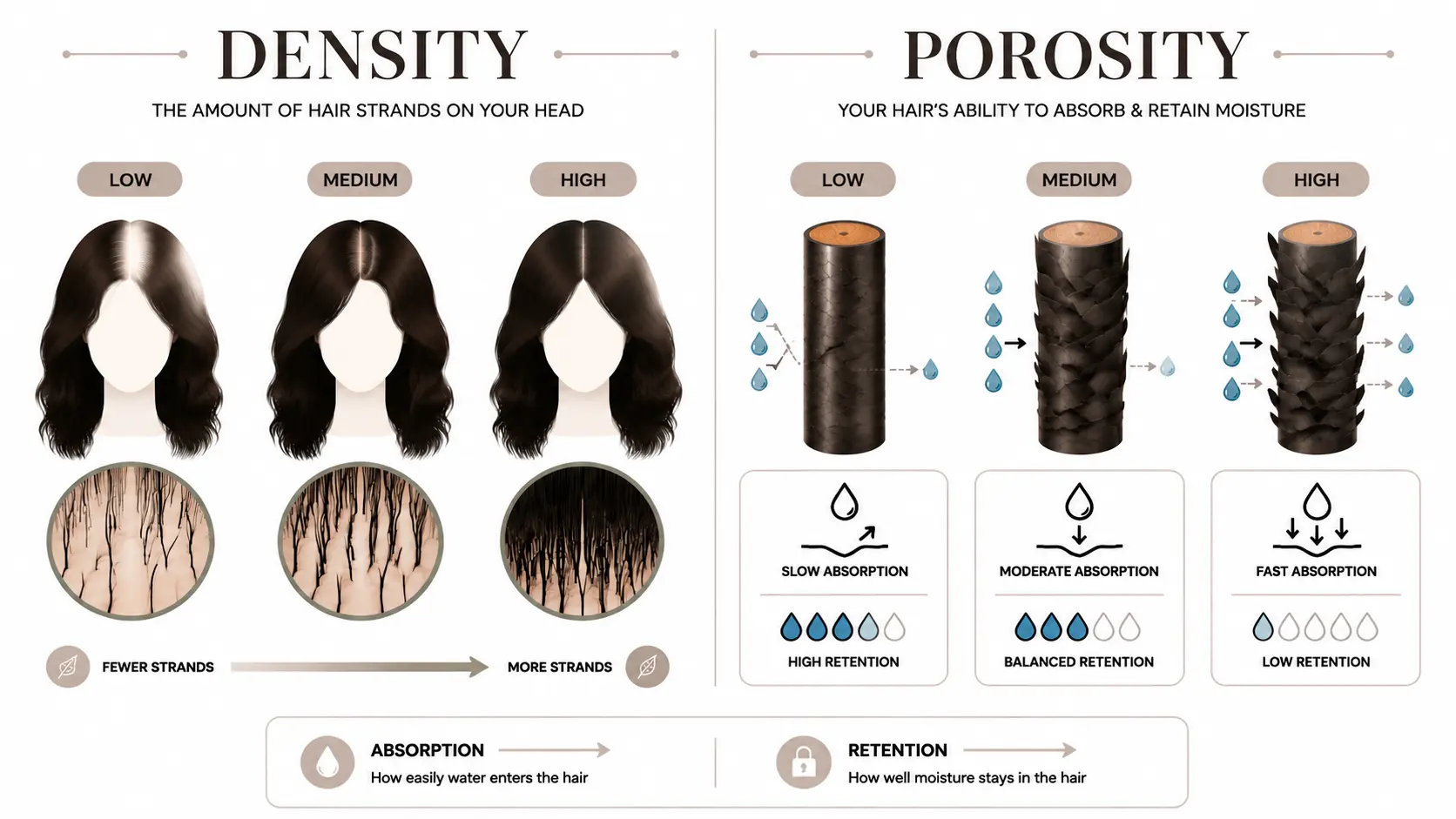 Infographic showing hair density and porosity levels with simple diagrams